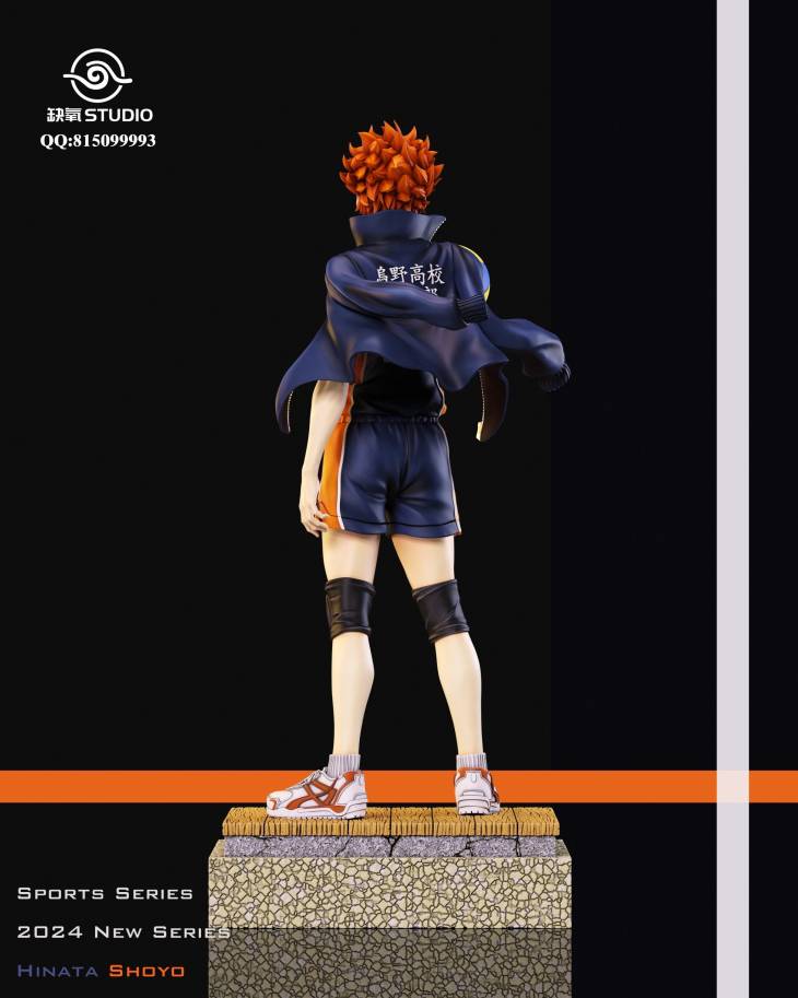Que Yang - Shōyō Hinata - Image 4
