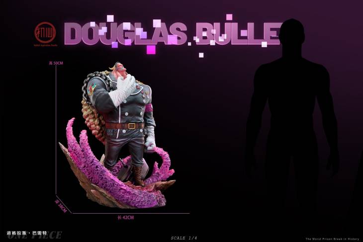 Initial Aspiration - Douglas Bullet - Image 3
