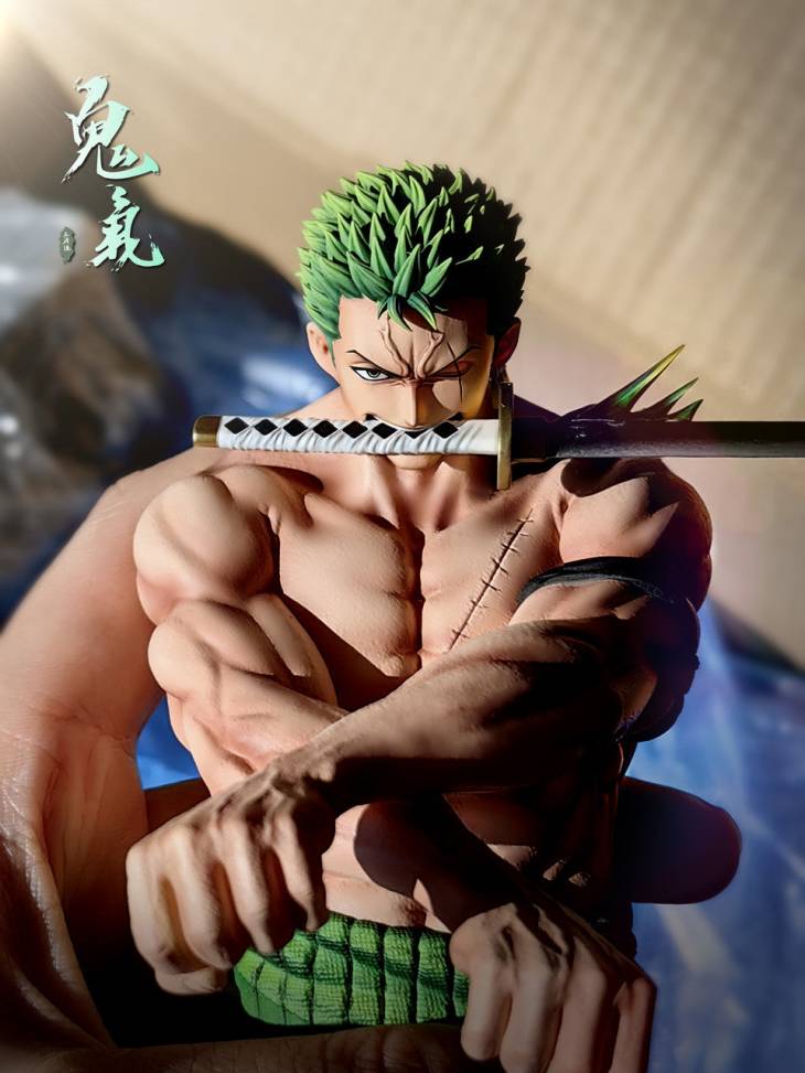 TH - Zoro - Image 7