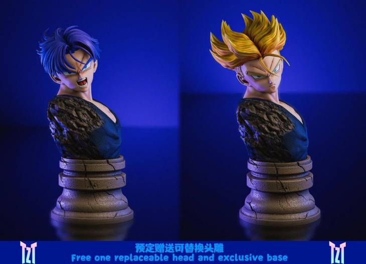 TZT - Trunks - Image 7