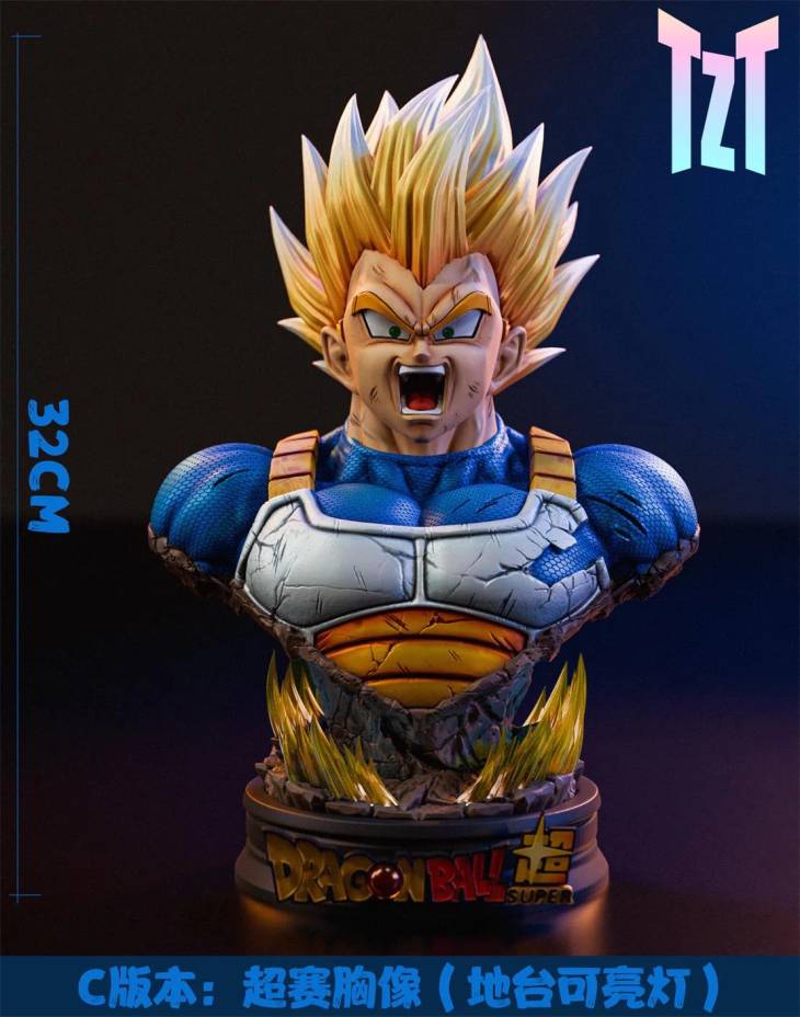 TZT - Vegeta - Image 4
