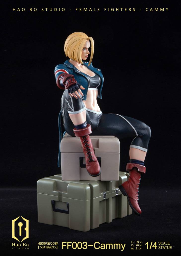 Haobo - Cammy - Image 5