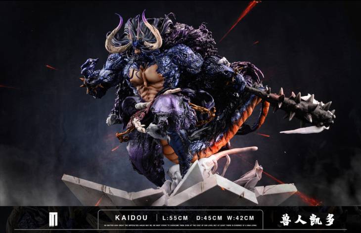 TM - Kaido