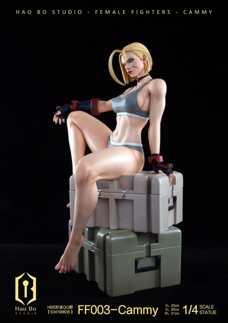 Haobo - Cammy - Image 9