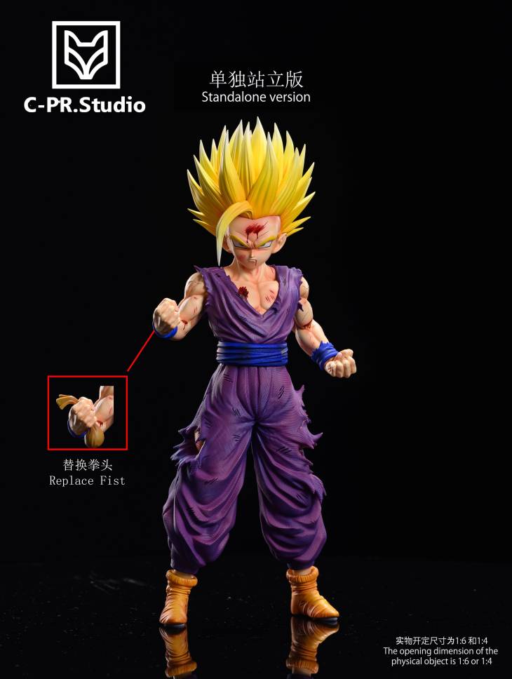 CPR - SSJ Gohan - Image 4