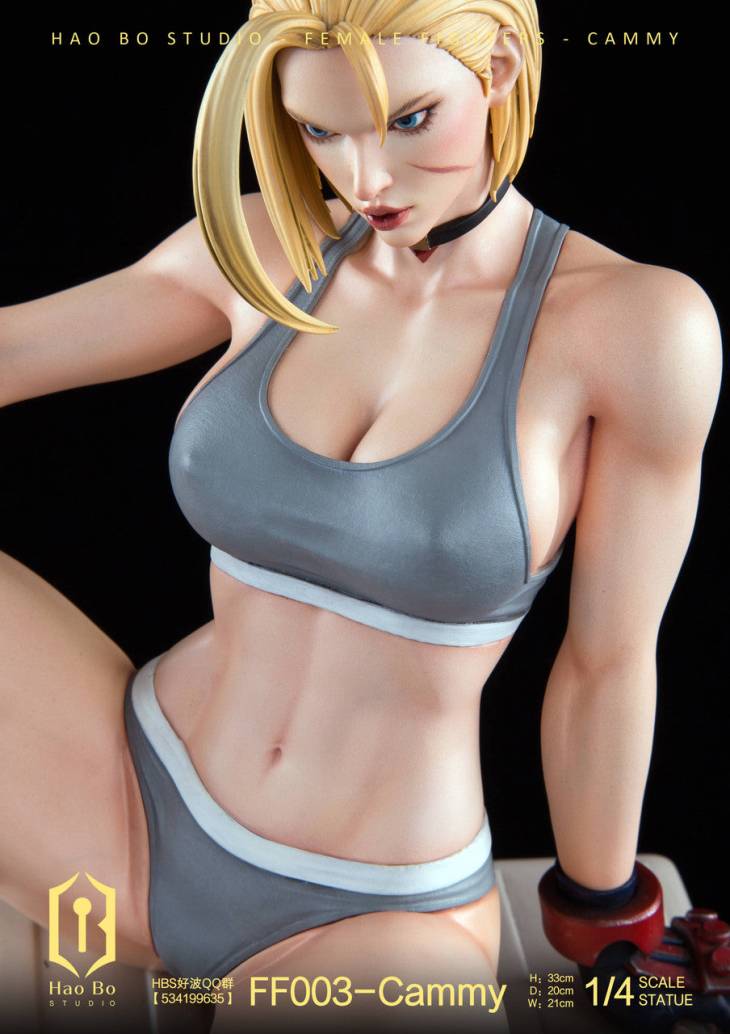 Haobo - Cammy - Image 4