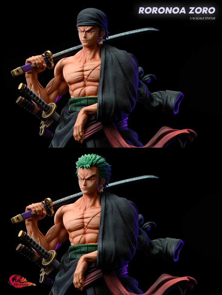 HB - Zoro - Image 2
