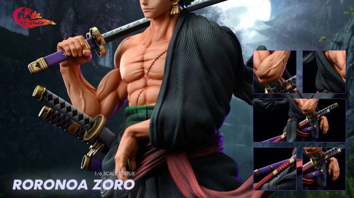 HB - Zoro - Image 5
