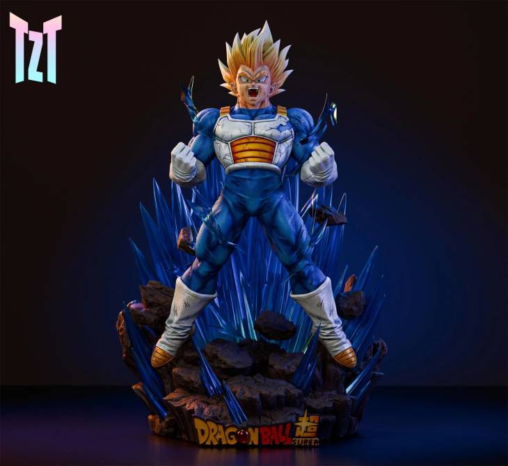 TZT - Vegeta - Image 3