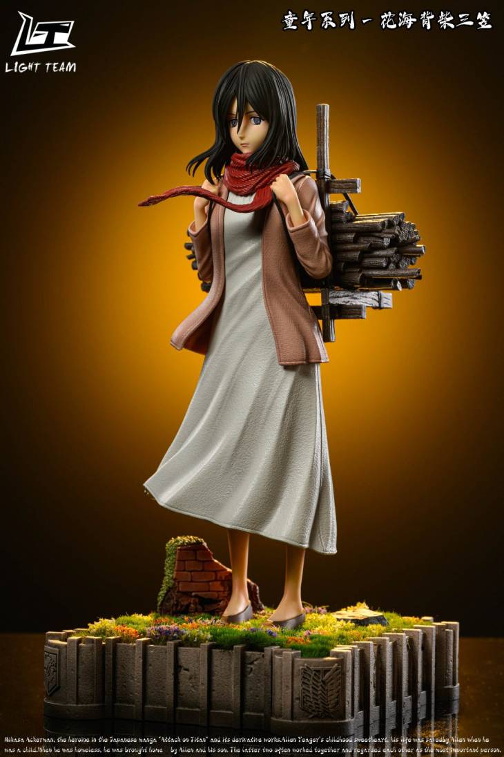 Light Team - Mikasa - Image 2