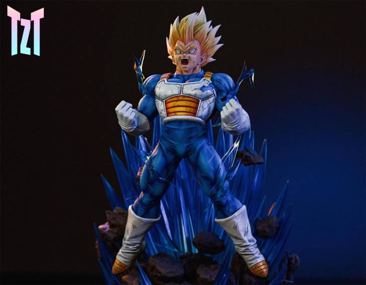 TZT - Vegeta - Image 5