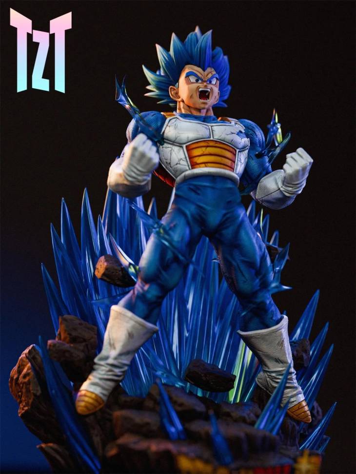 TZT - Vegeta - Image 7