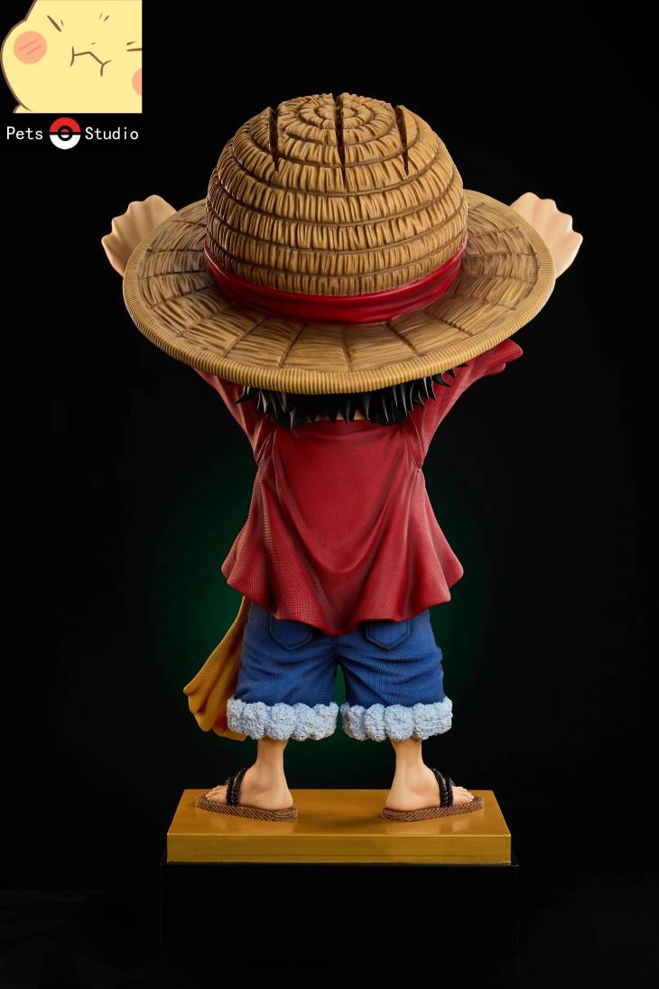 Pets - Luffy - Image 8