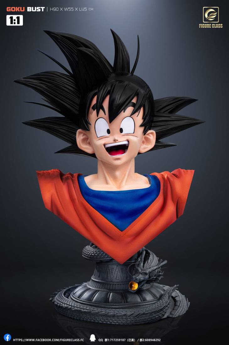 Figure Class - Goku - Image 5