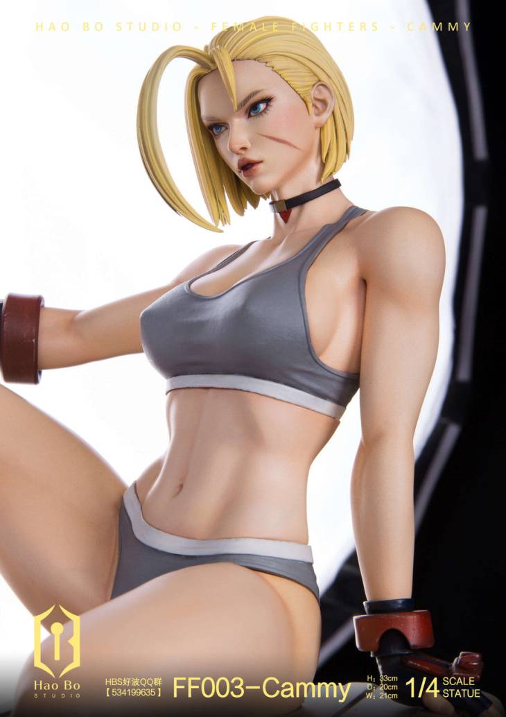 Haobo - Cammy - Image 6