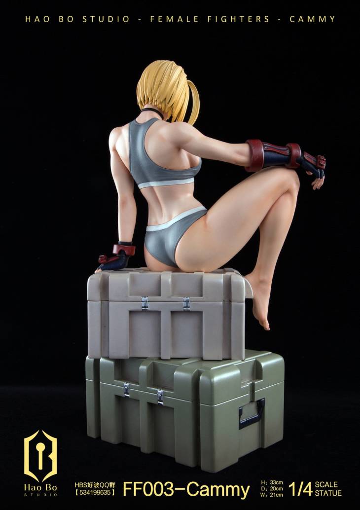 Haobo - Cammy - Image 10