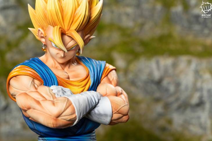 Break - Vegito - Image 10