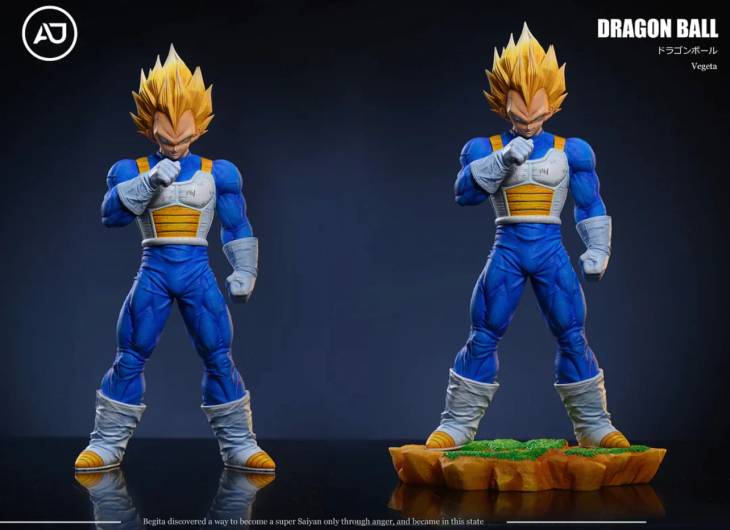 AJ - Vegeta - Image 4