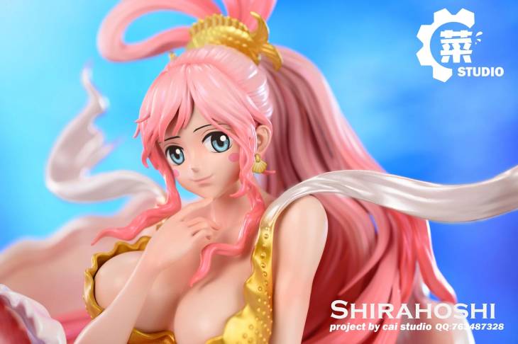 CAI - Shirahoshi - Image 5