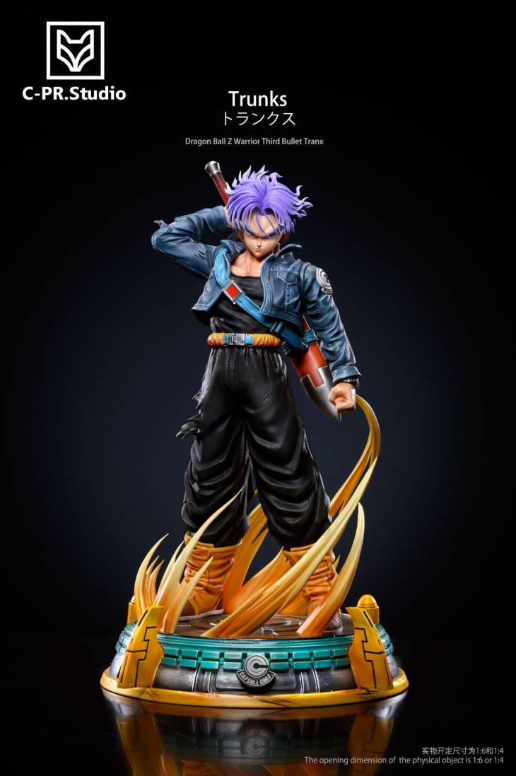 CPR - Trunks - Image 2