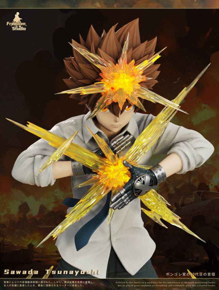 Freedom - Tsunayoshi Sawada - Image 4
