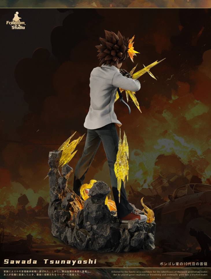 Freedom - Tsunayoshi Sawada - Image 7