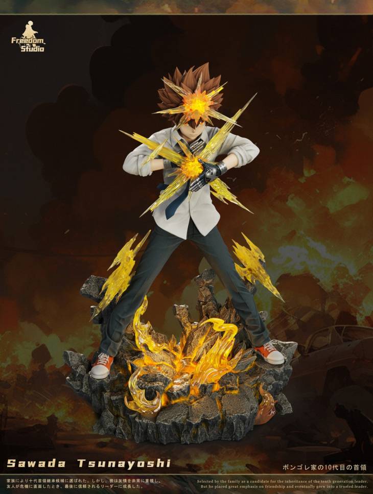 Freedom - Tsunayoshi Sawada - Image 3
