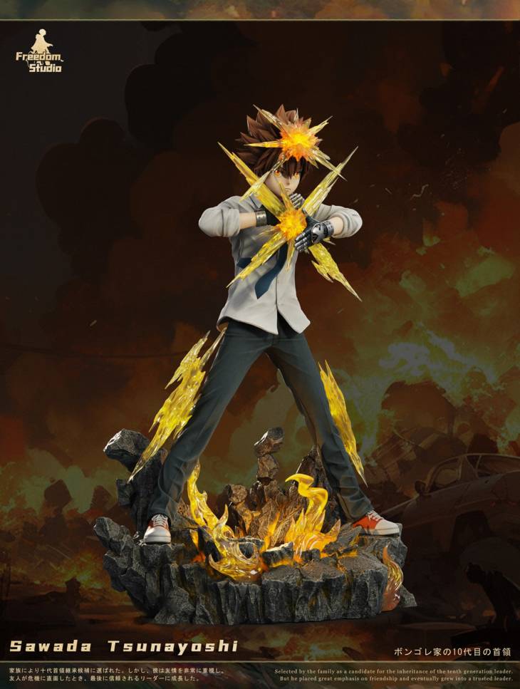 Freedom - Tsunayoshi Sawada - Image 5