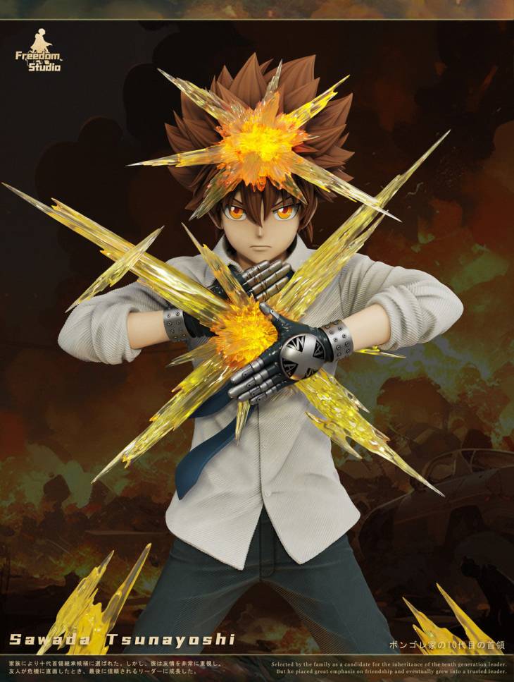 Freedom - Tsunayoshi Sawada - Image 2