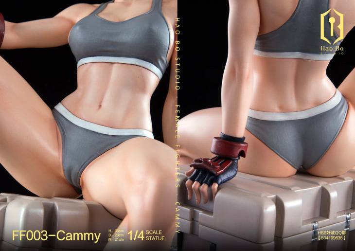 Haobo - Cammy - Image 17