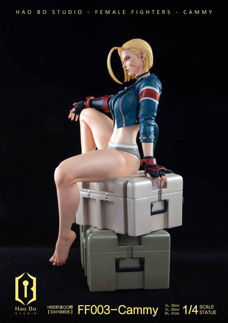 Haobo - Cammy - Image 7