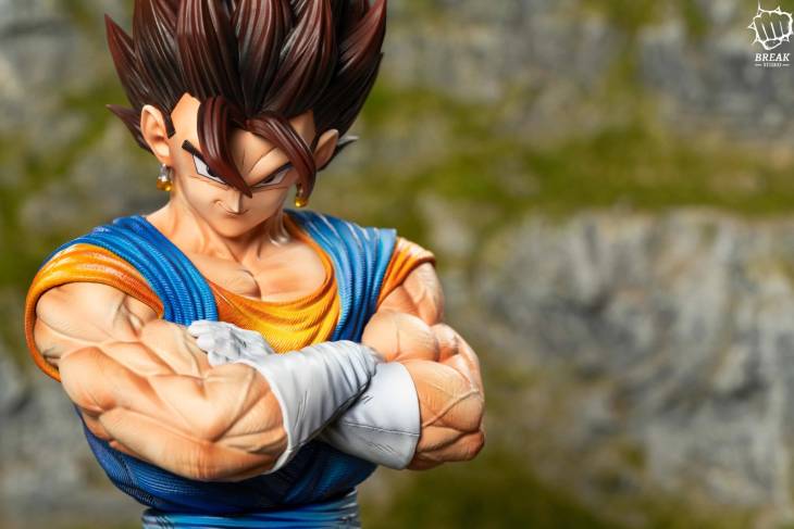 Break - Vegito - Image 9