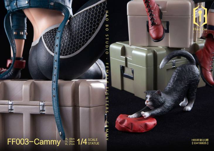 Haobo - Cammy - Image 19