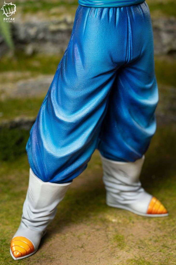 Break - Vegito - Image 6