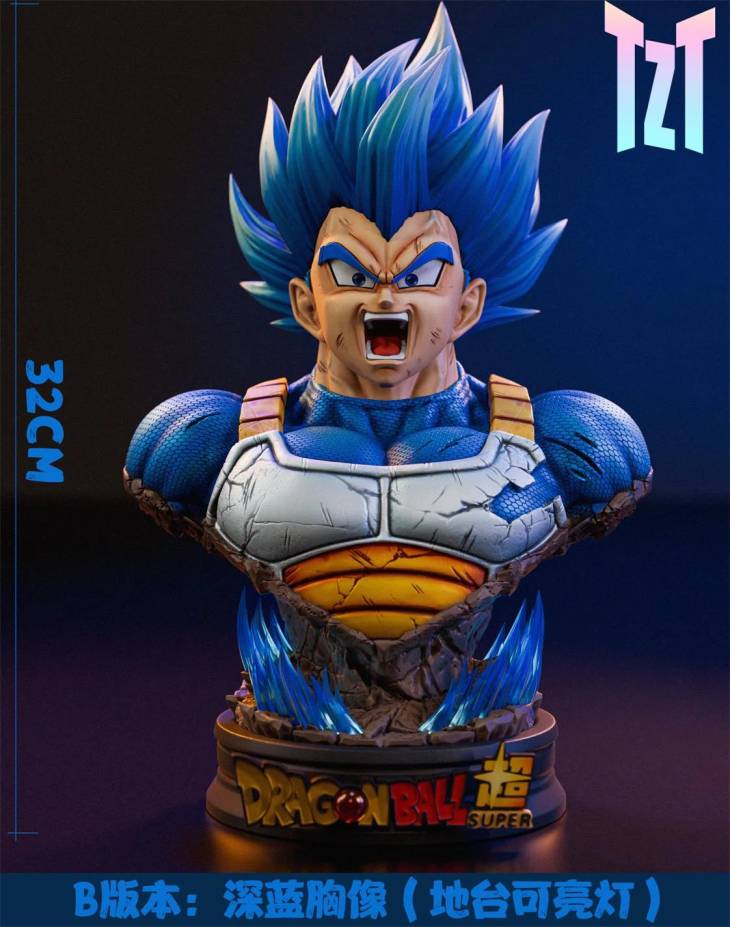 TZT - Vegeta - Image 6