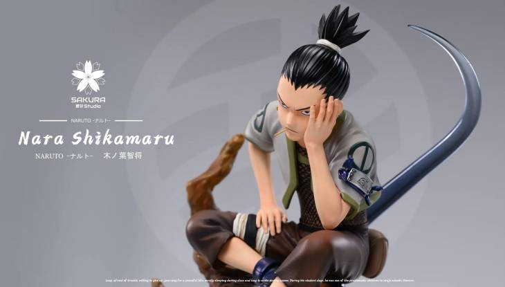 Sakura - Shikamaru - Image 4