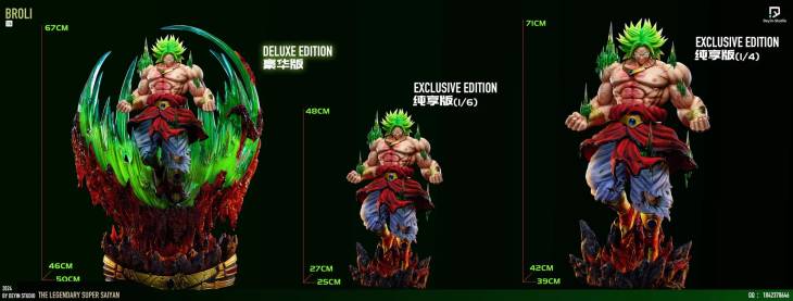 Deyin - Broly - Image 11