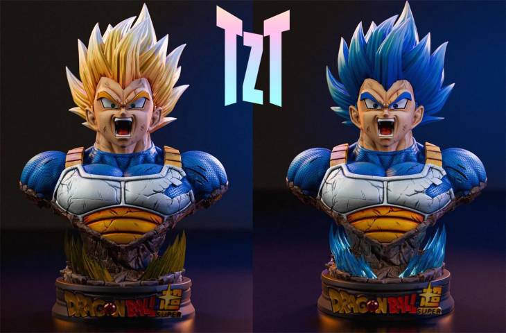 TZT - Vegeta - Image 8