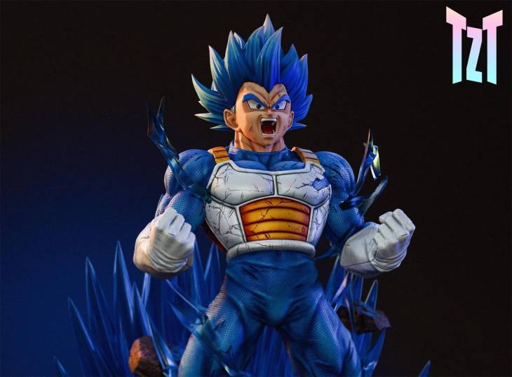 TZT - Vegeta - Image 2