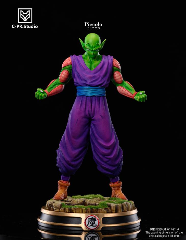 CPR - Piccolo - Image 5