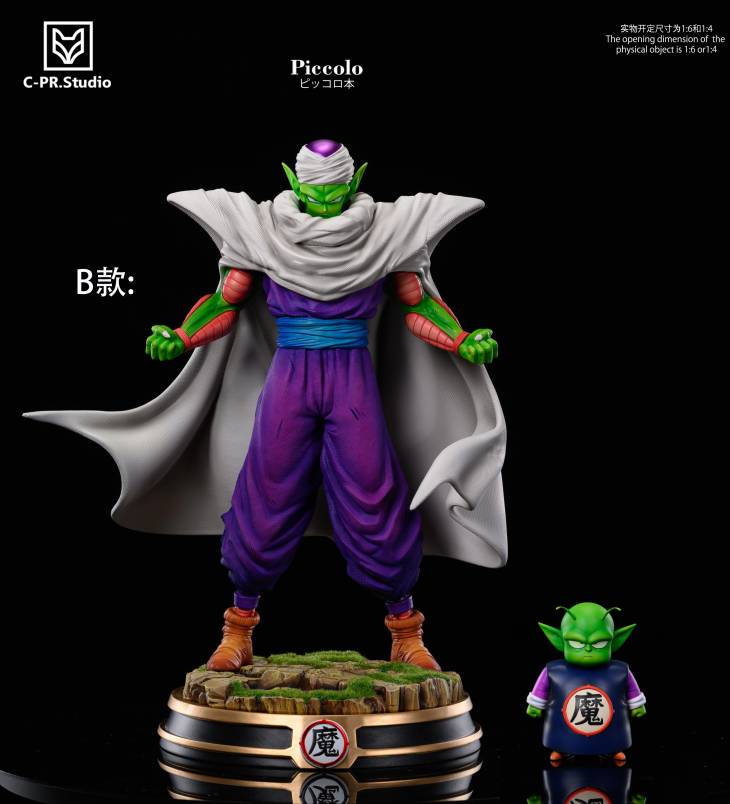 CPR - Piccolo - Image 2