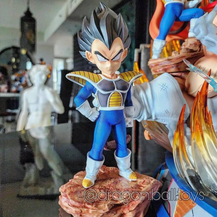 SHK - Vegeta Lifetime - Image 10