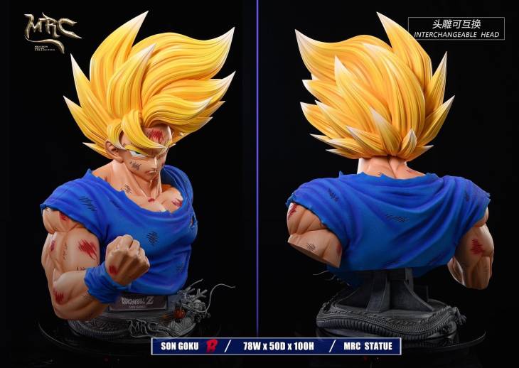 MRC - Goku - Image 10