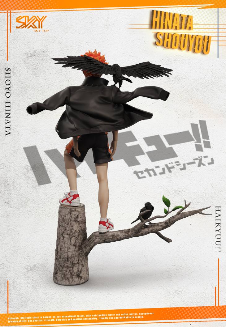 Sky Top - Shōyō Hinata - Image 5