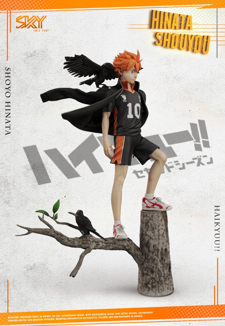 Sky Top - Shōyō Hinata - Image 3