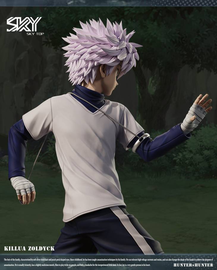 Sky Top - Killua - Image 4