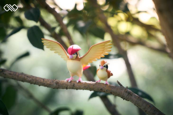 Infinite - Pidgeot - Image 8