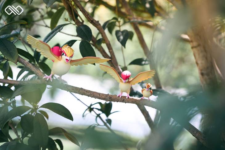 Infinite - Pidgeot - Image 9
