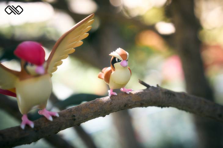 Infinite - Pidgeot - Image 11
