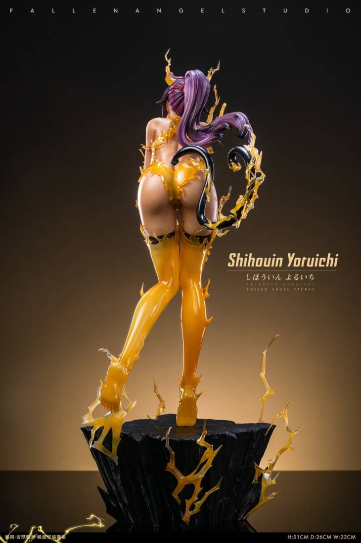 FA - Yoruichi - Image 30